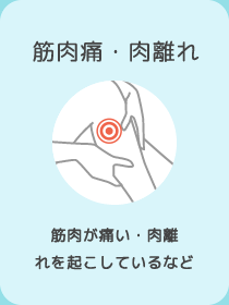 筋⾁痛・⾁離れ　筋⾁が痛い・⾁離れを起こしているなど